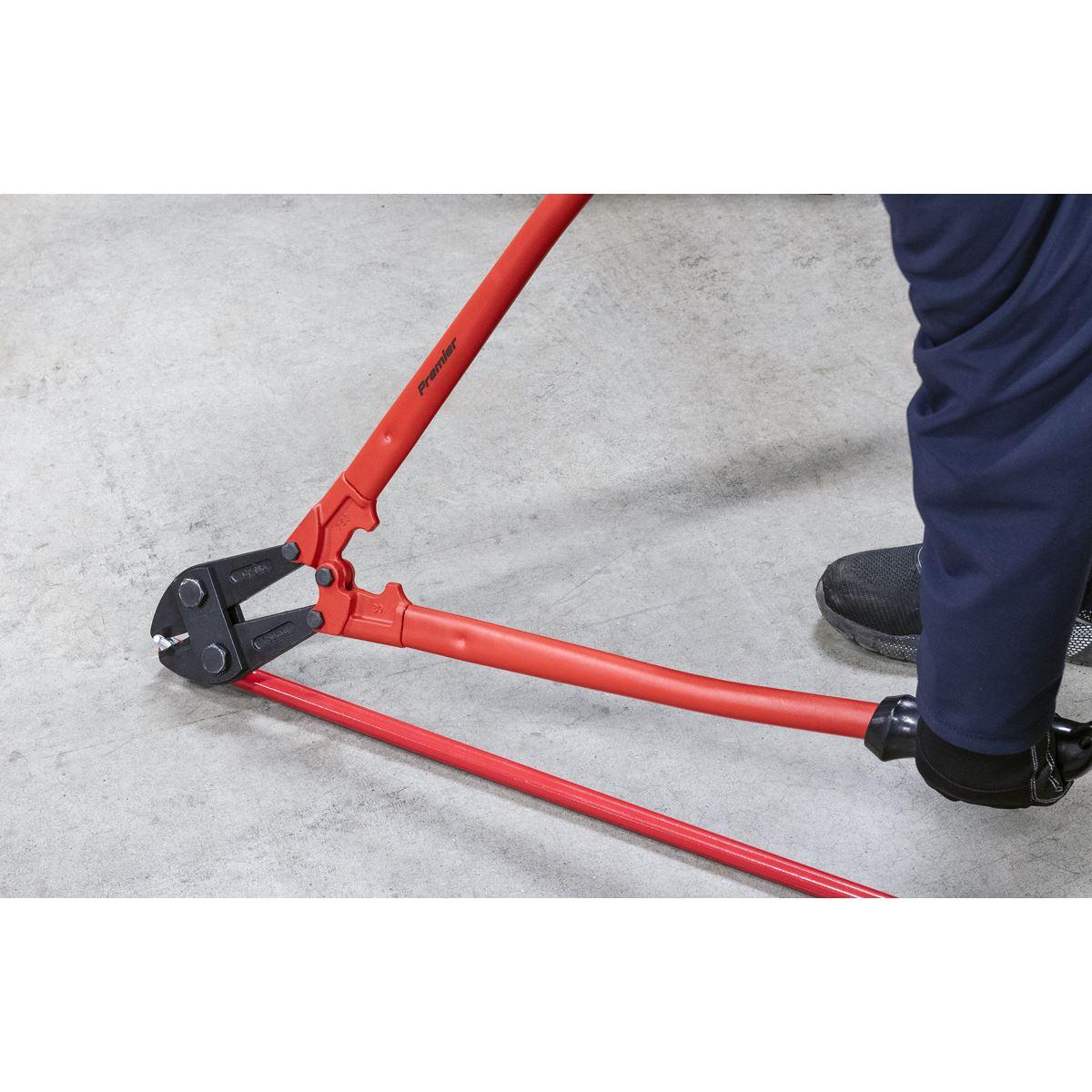 Sealey Premier Bolt Cutters 750mm 13mm Capacity AK510