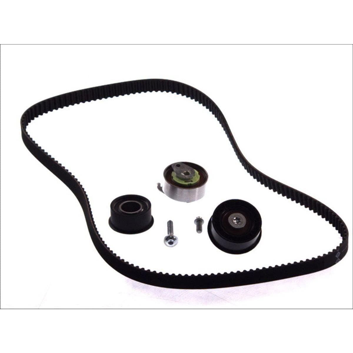 Ina Timing Belt Kit 530007810