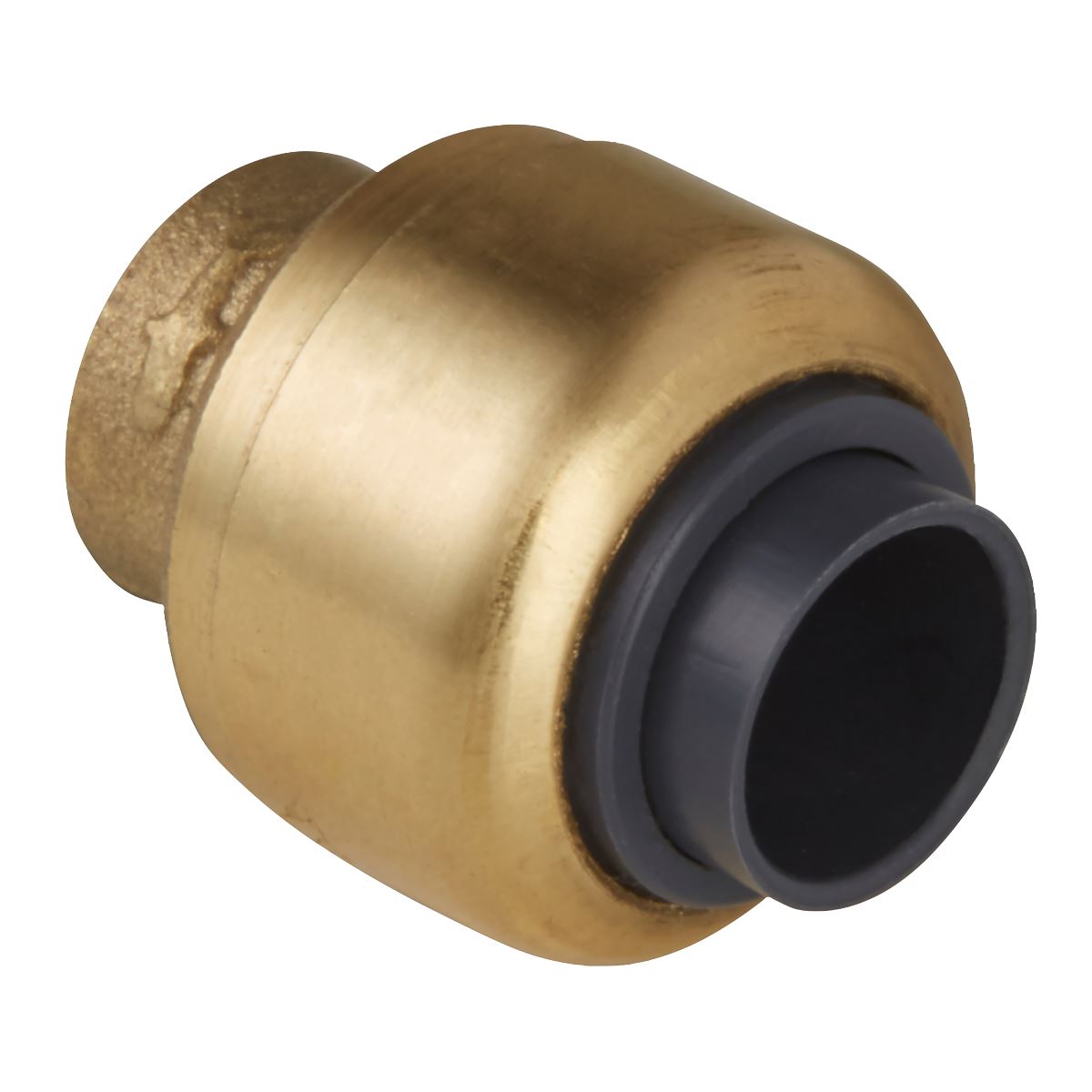 Sealey SharkBiteï Line End Plug 15mm SBA15P