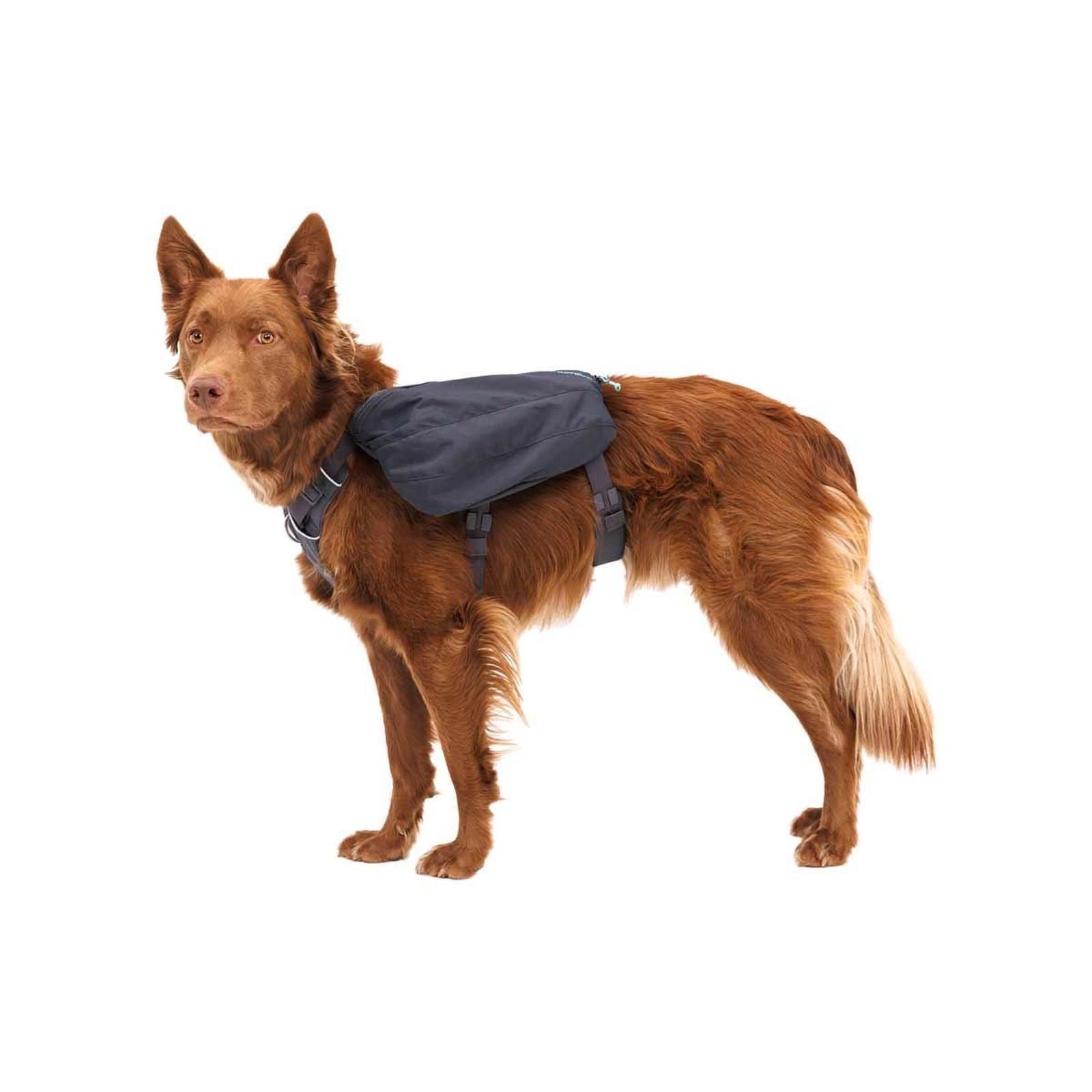 Ruffwear Front Range Dog Day Pack in Basalt Grey (Medium)