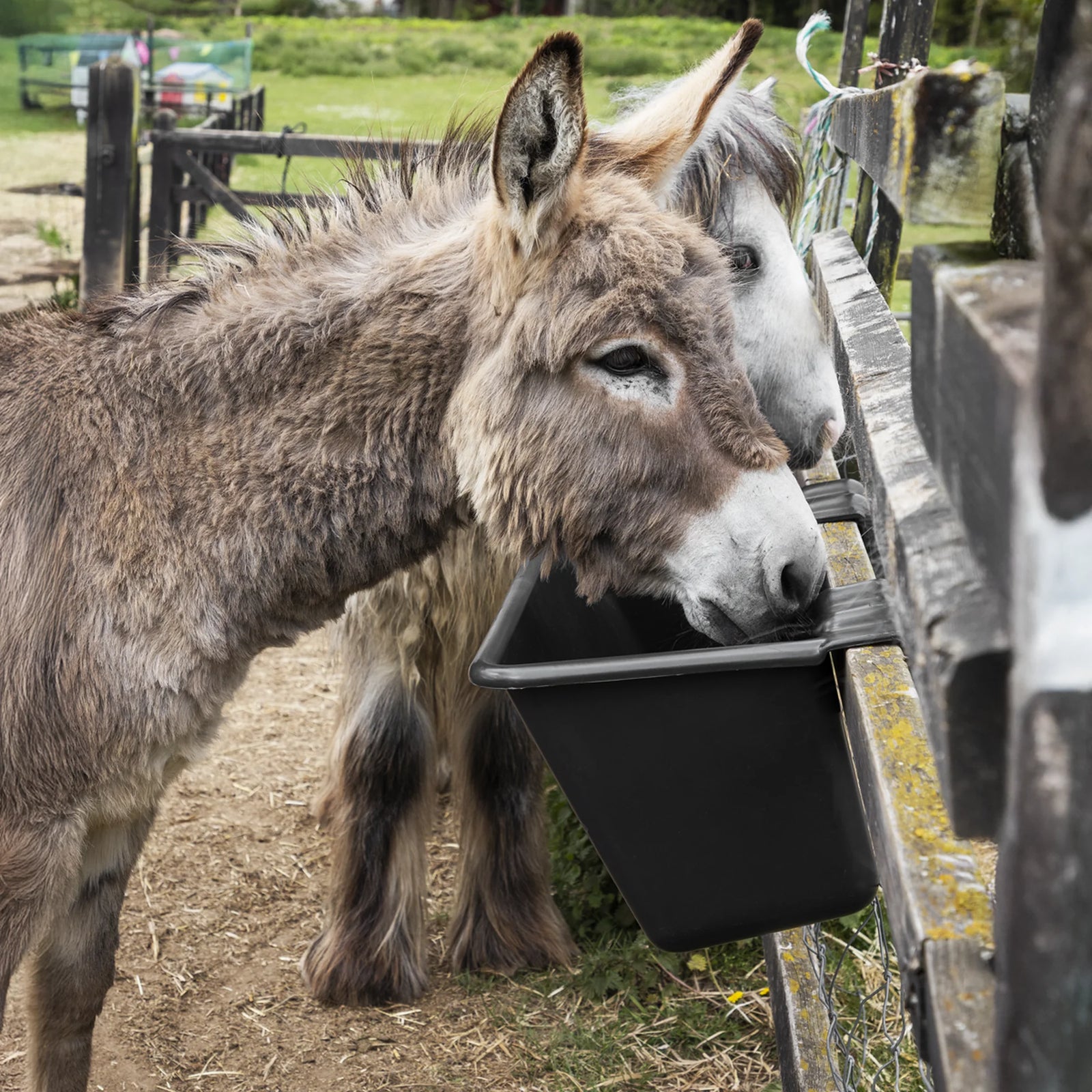 Sealey Hook-Over Trough 40L - Durable Plastic for Farm Animals