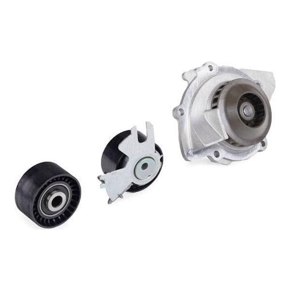 Ina Timing Belt Kit With Water Pump 530055831