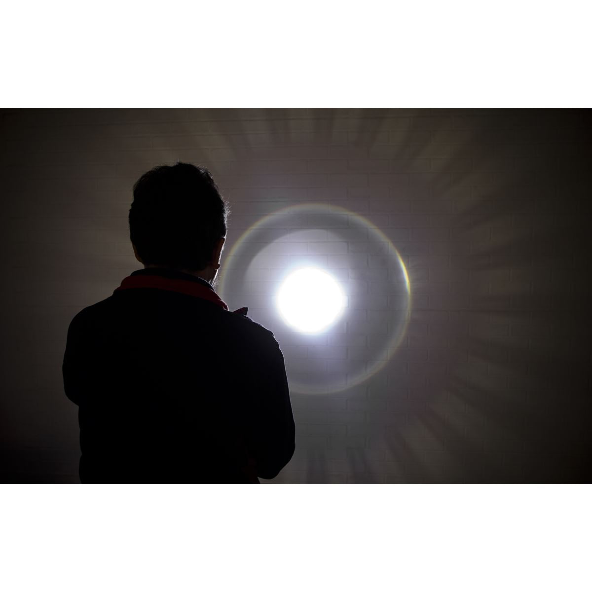 Aluminium Torch 10W Cree Xpl Led Adjustable Focus