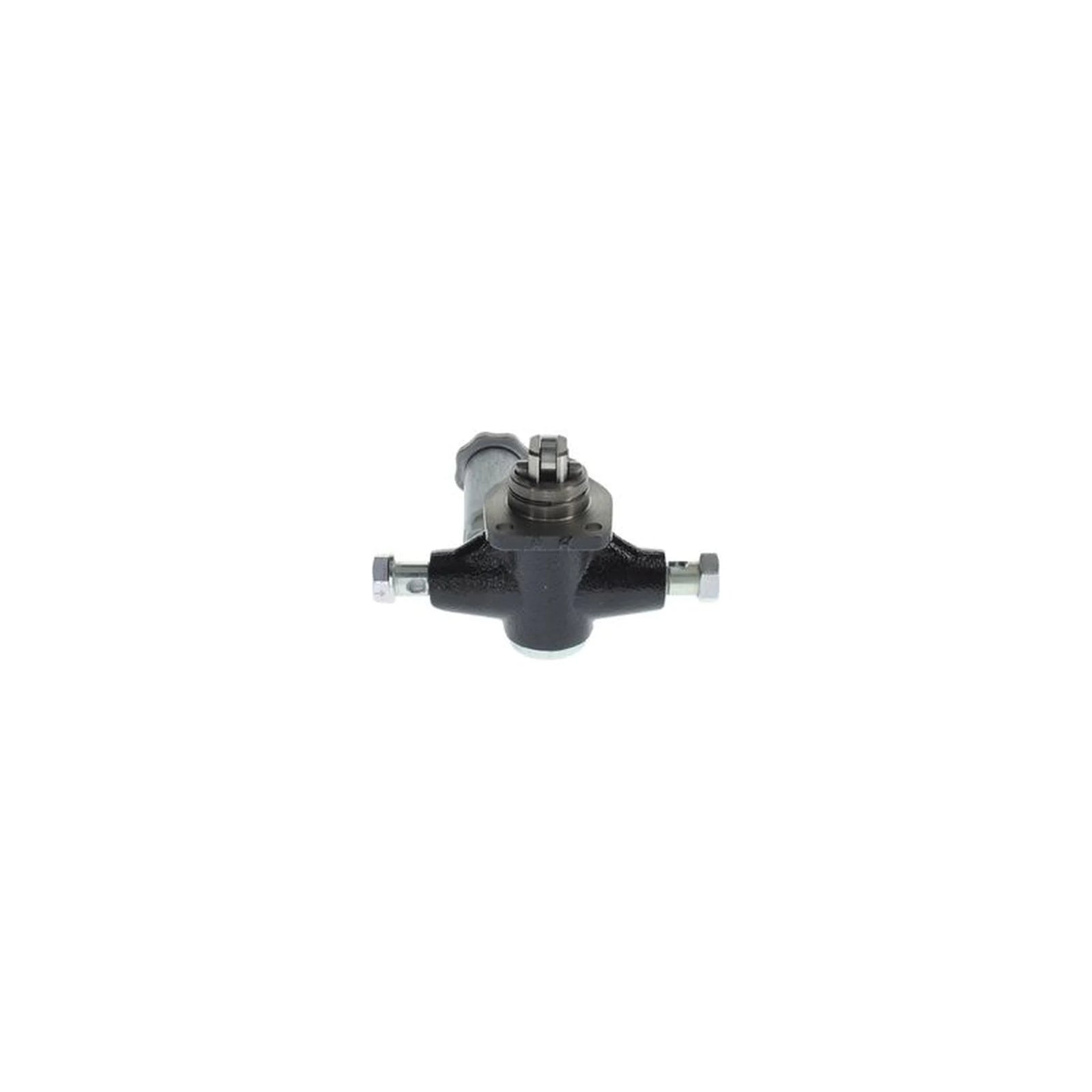 Bosch Fuel Pump Assembly H 105 217 173