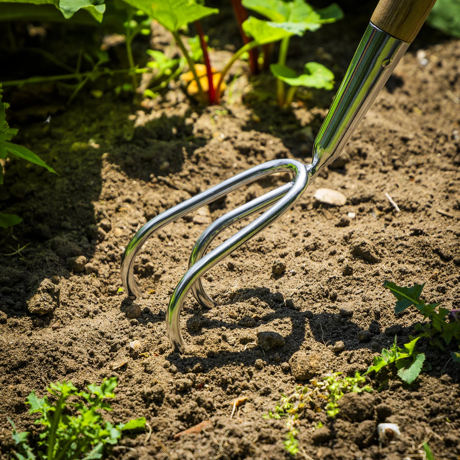 Sealey Premier Garden Cultivator GTWH012 145mm Stainless Steel Tines