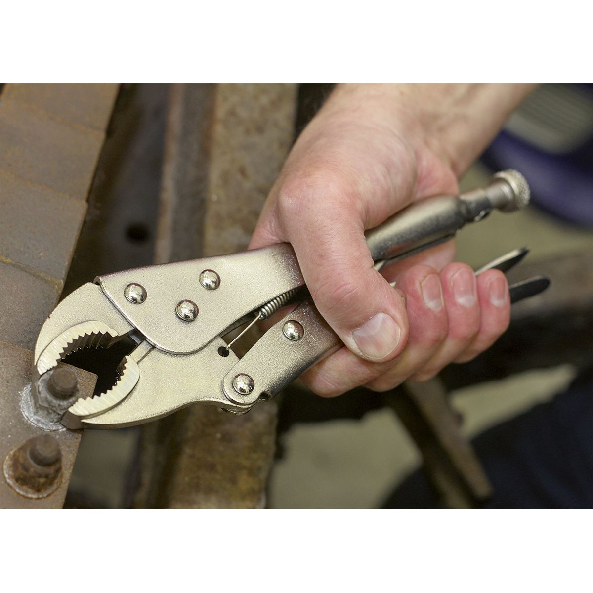 Seigen by Sealey Locking Pliers Set 3pc S0463