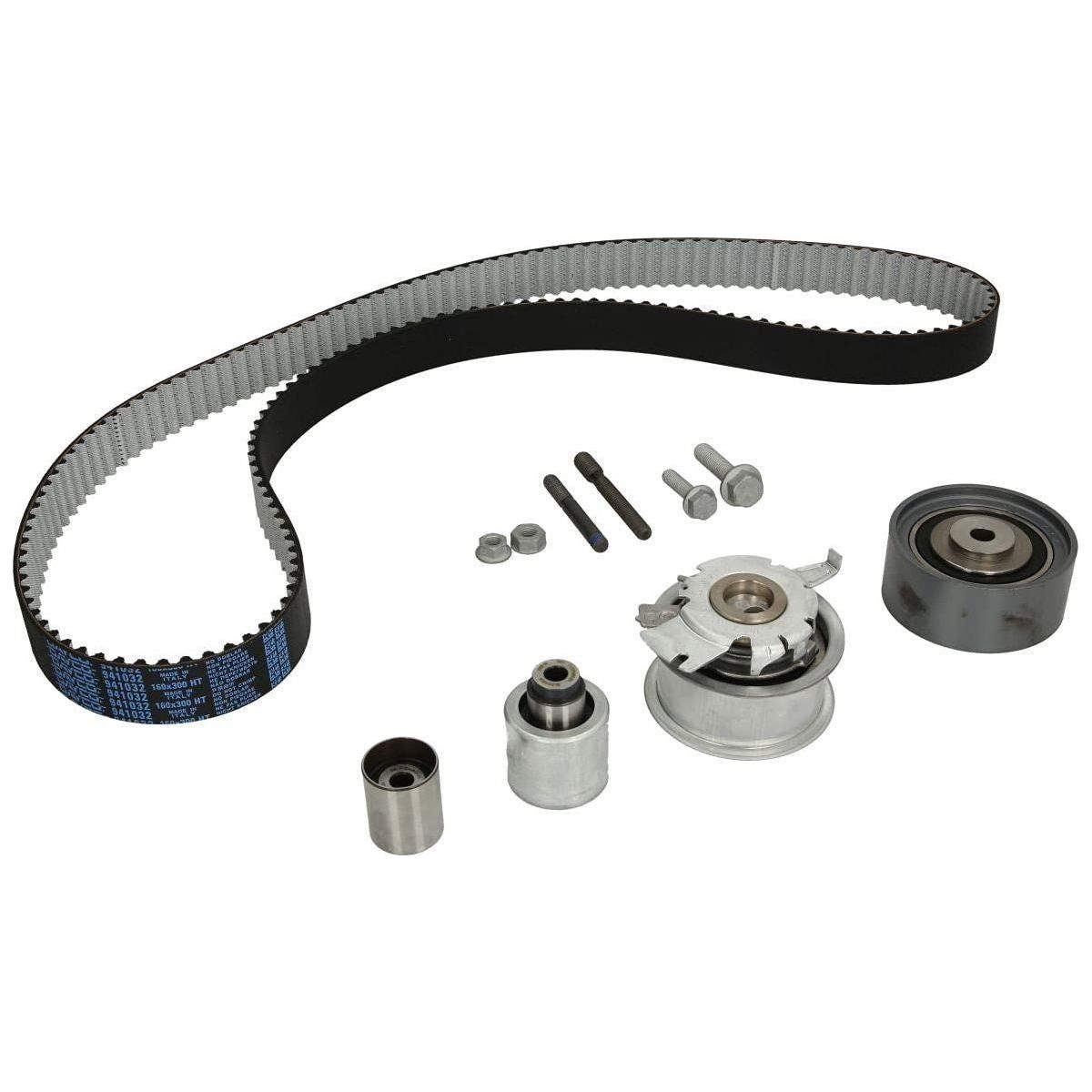 Ina Timing Belt Kit 530050310