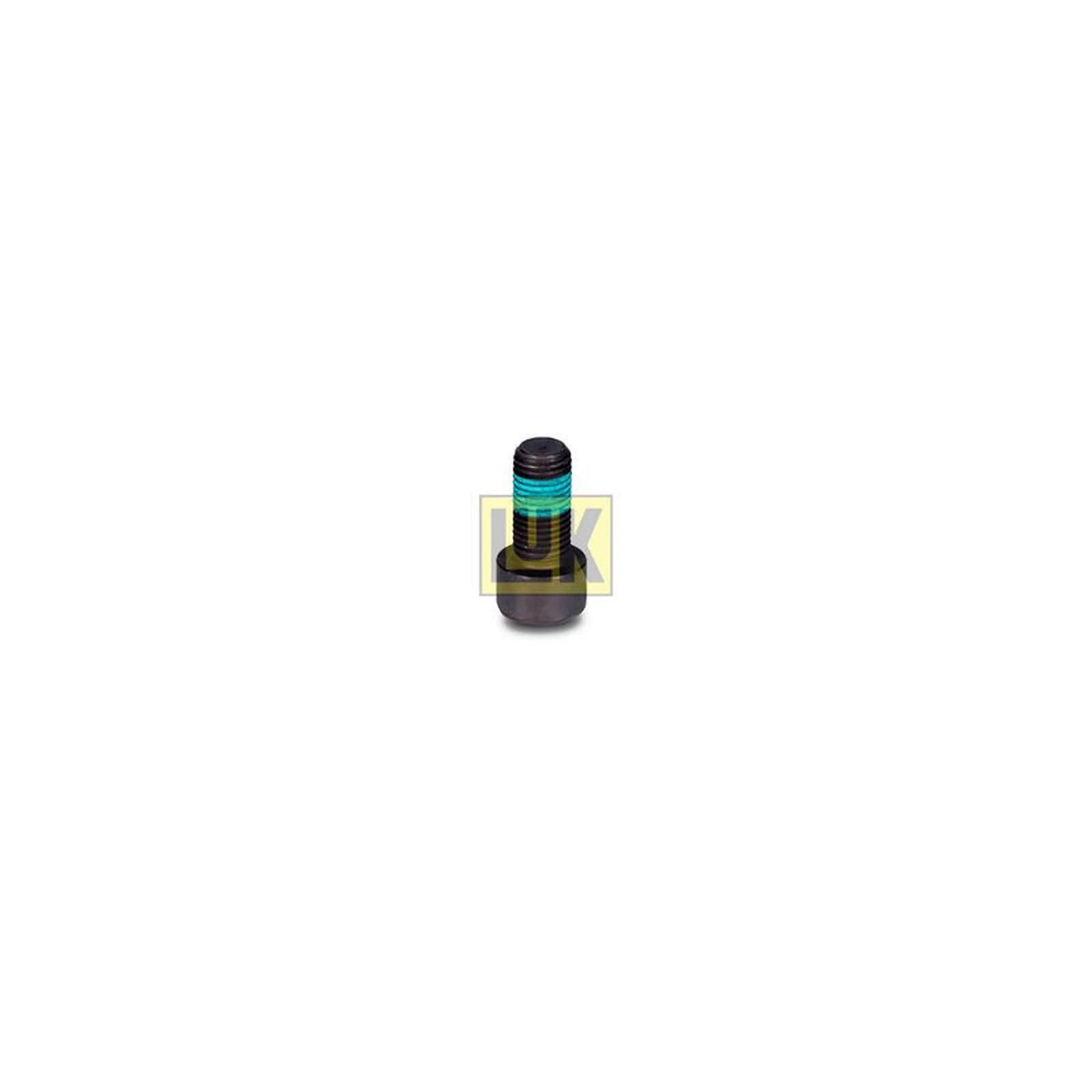 LuK Dmf Bolt Fitting Kit 411012110