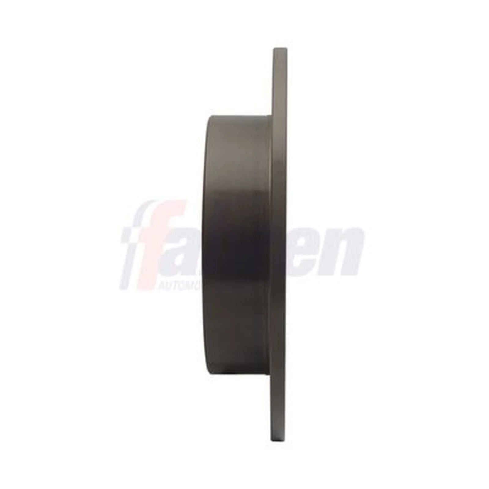 Fahren 2 x Solid Rear Brake Discs FBD6160