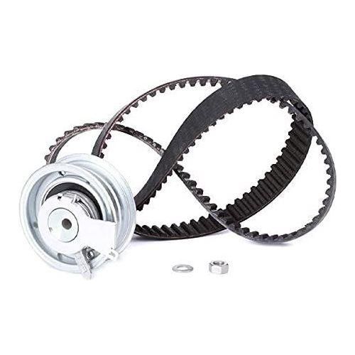 Ina Timing Belt Kit 530017110