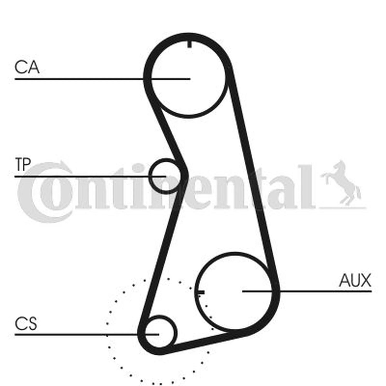 Continental CTAM Timing Belt Cambelt 121 Teeth CT848