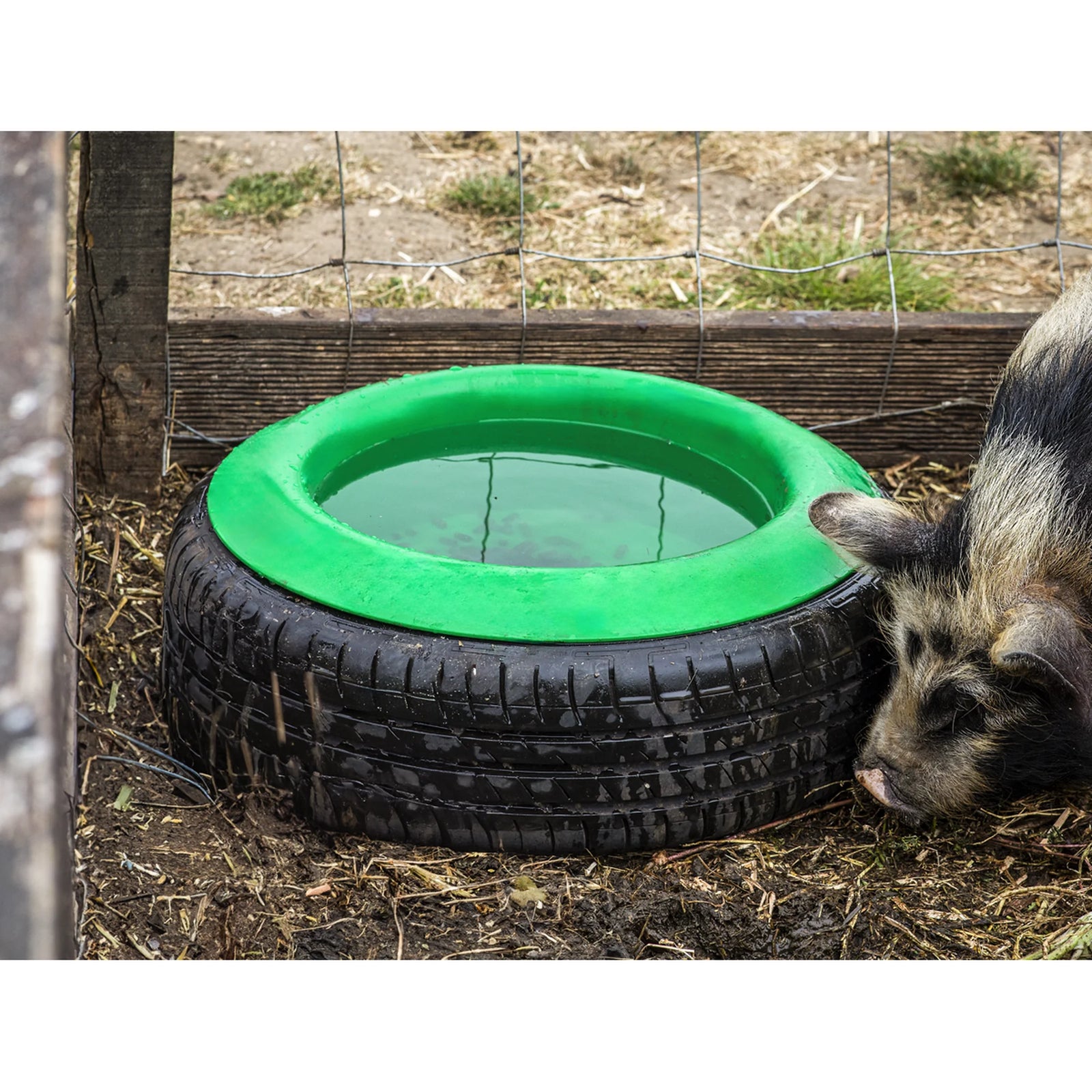 Sealey Tyre Feed Bowl 15L AFT07 - Durable & Stable Design