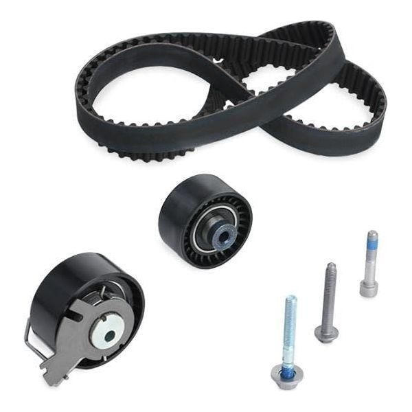 Ina Timing Belt Kit 530037910