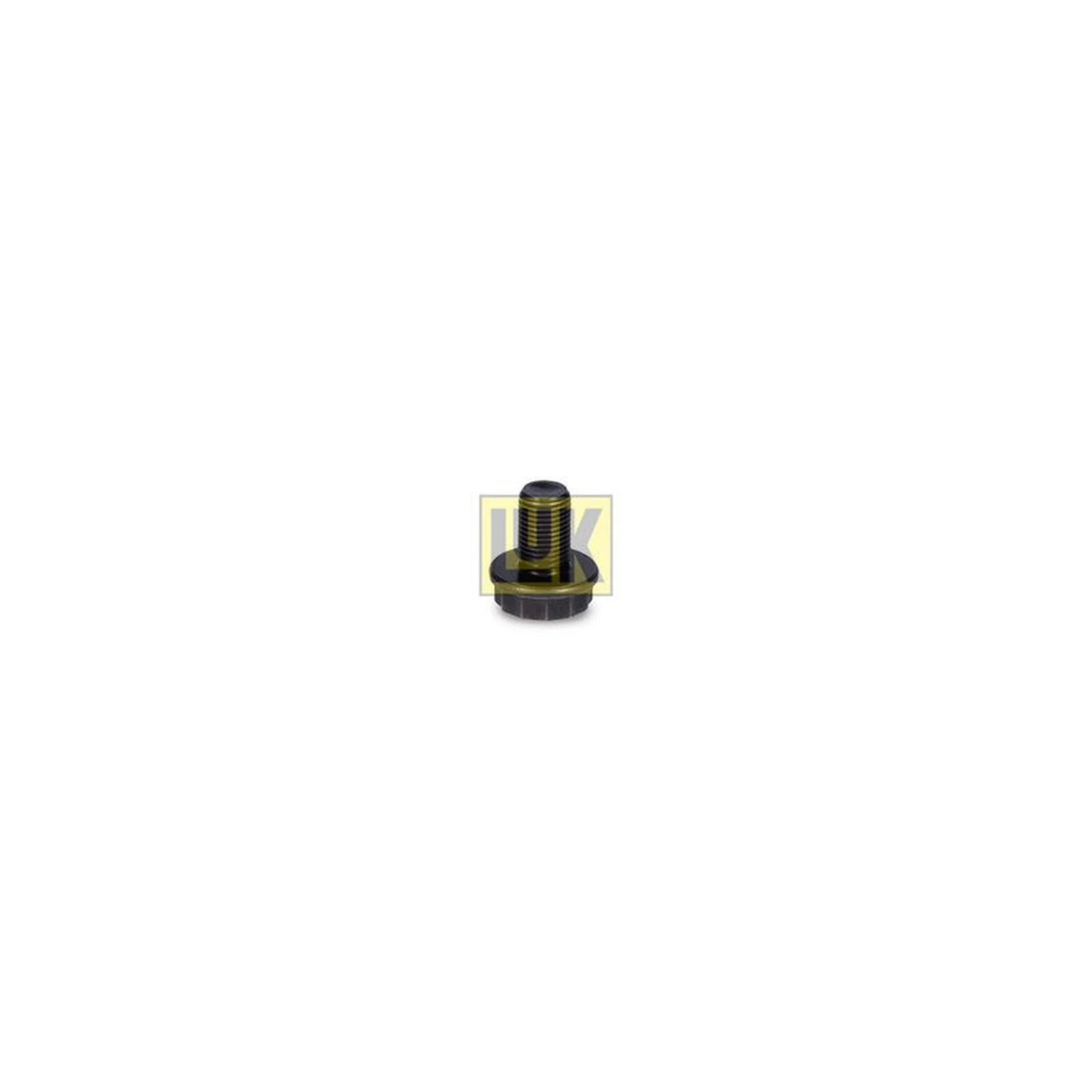 LuK Dmf Bolt Fitting Kit 411015611