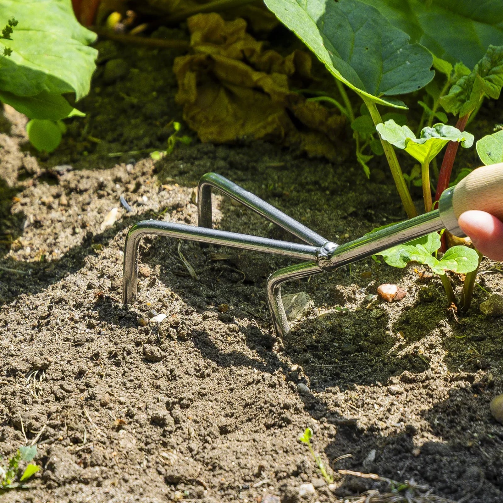 Sealey Premier Cultivator GTWH005 135mm Short Ash Handle
