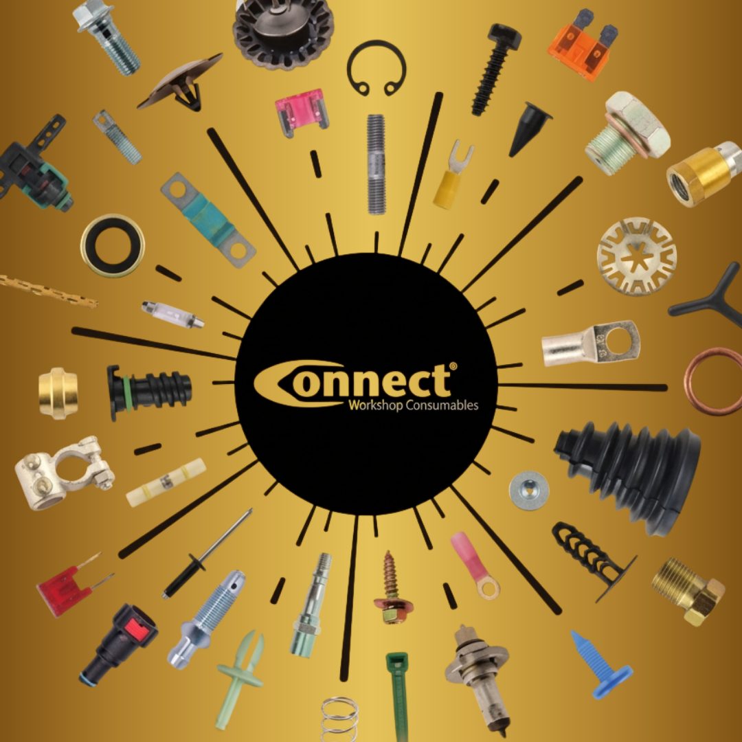 Connect HDSCS Connector Assorted Kit - 265pc - CPL
