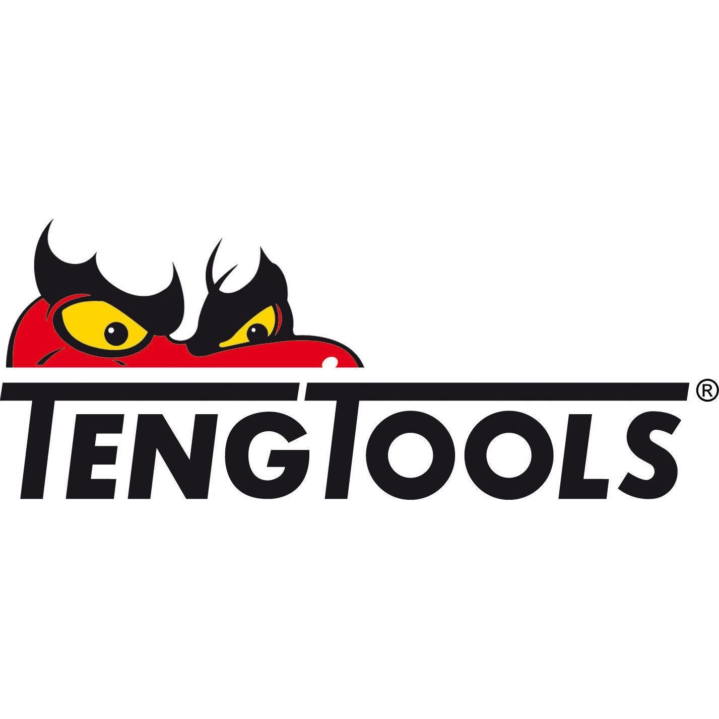 Teng Tools Insert Torque Wrench 9 x 12, 20 - 100Nm CT