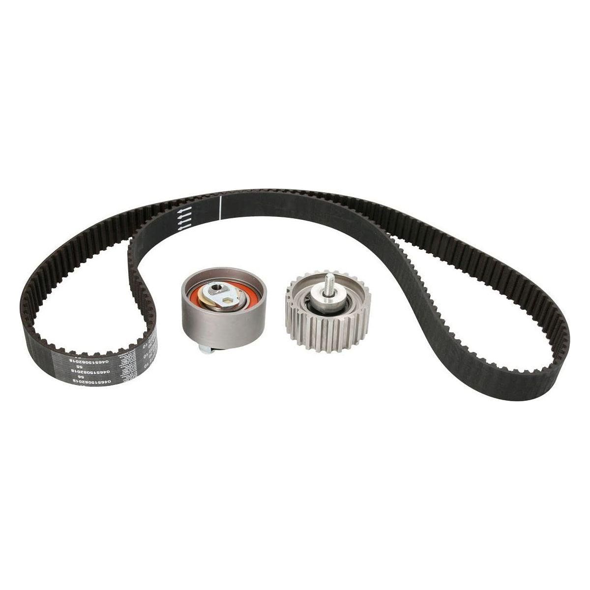 Ina Timing Belt Kit 530023210