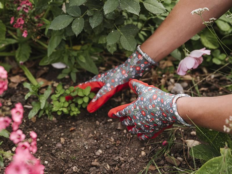 Kent & Stowe Weeding Gloves Triple Pack - Ladies Medium