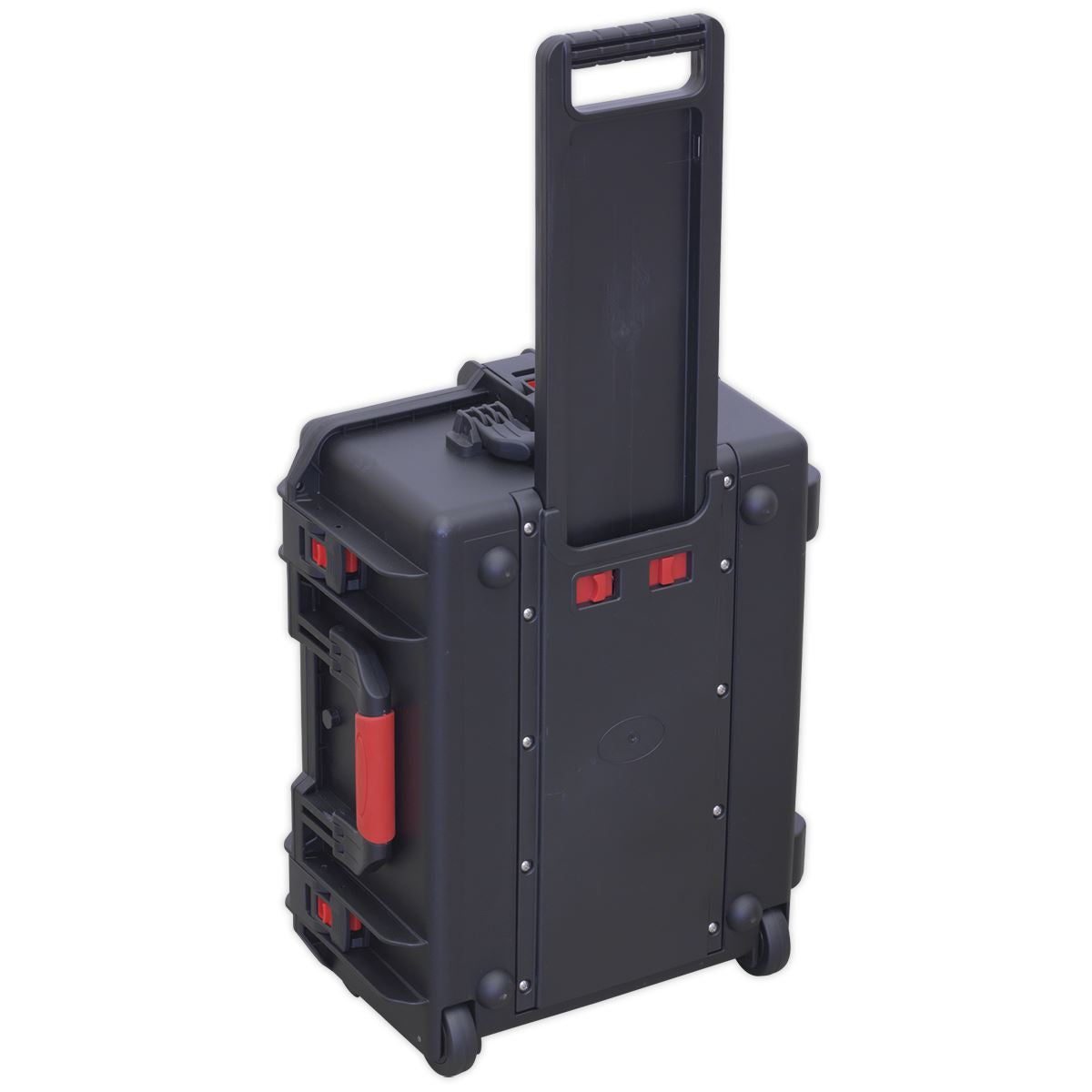 Sealey Professional Water Resistant Storage Case With Ext