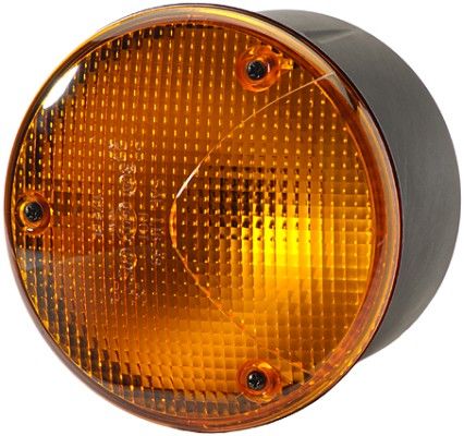 Hella Direction Indicator Light 2BA 964 169-017