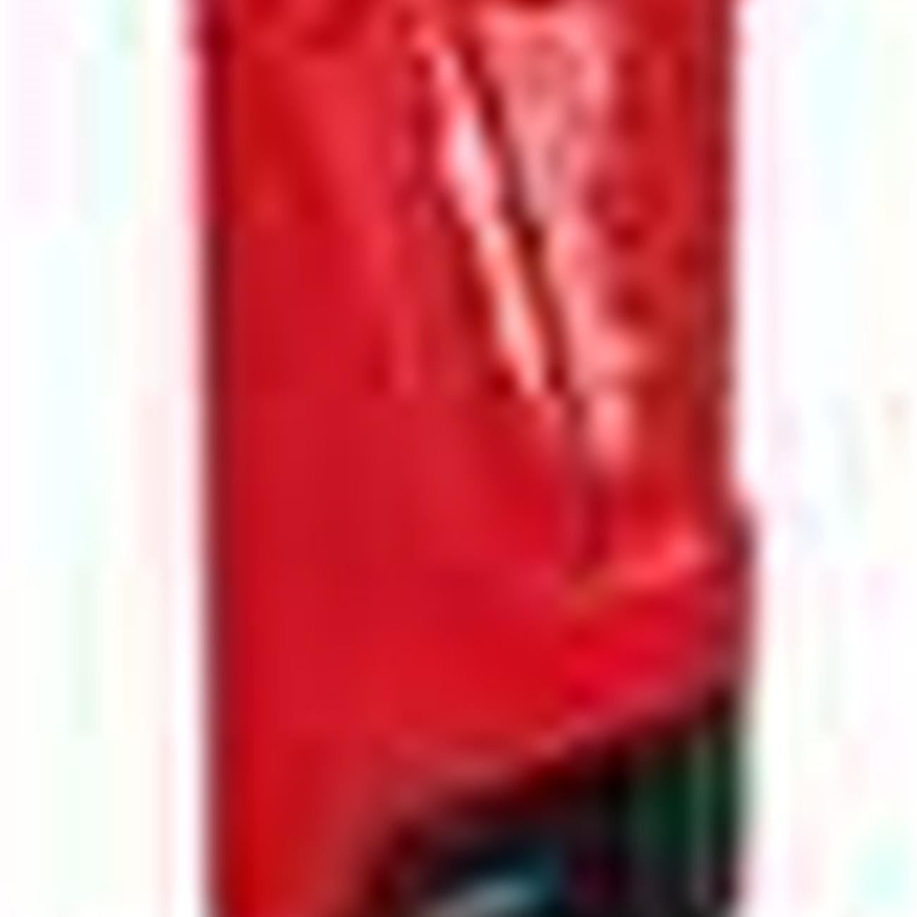 Milwaukee M12 Travel Charger Gen 2