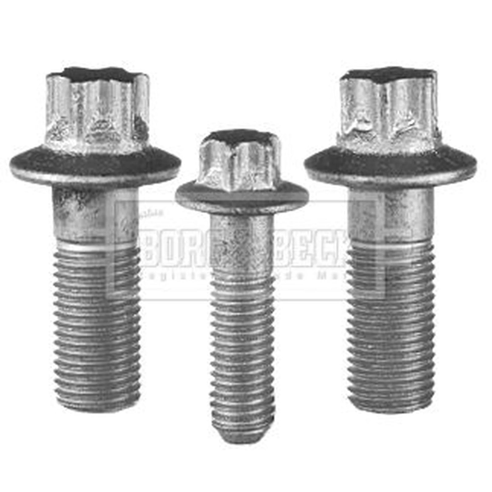Borg & Beck Supporting/Ball Joint Repair Kit Lower BSK7900