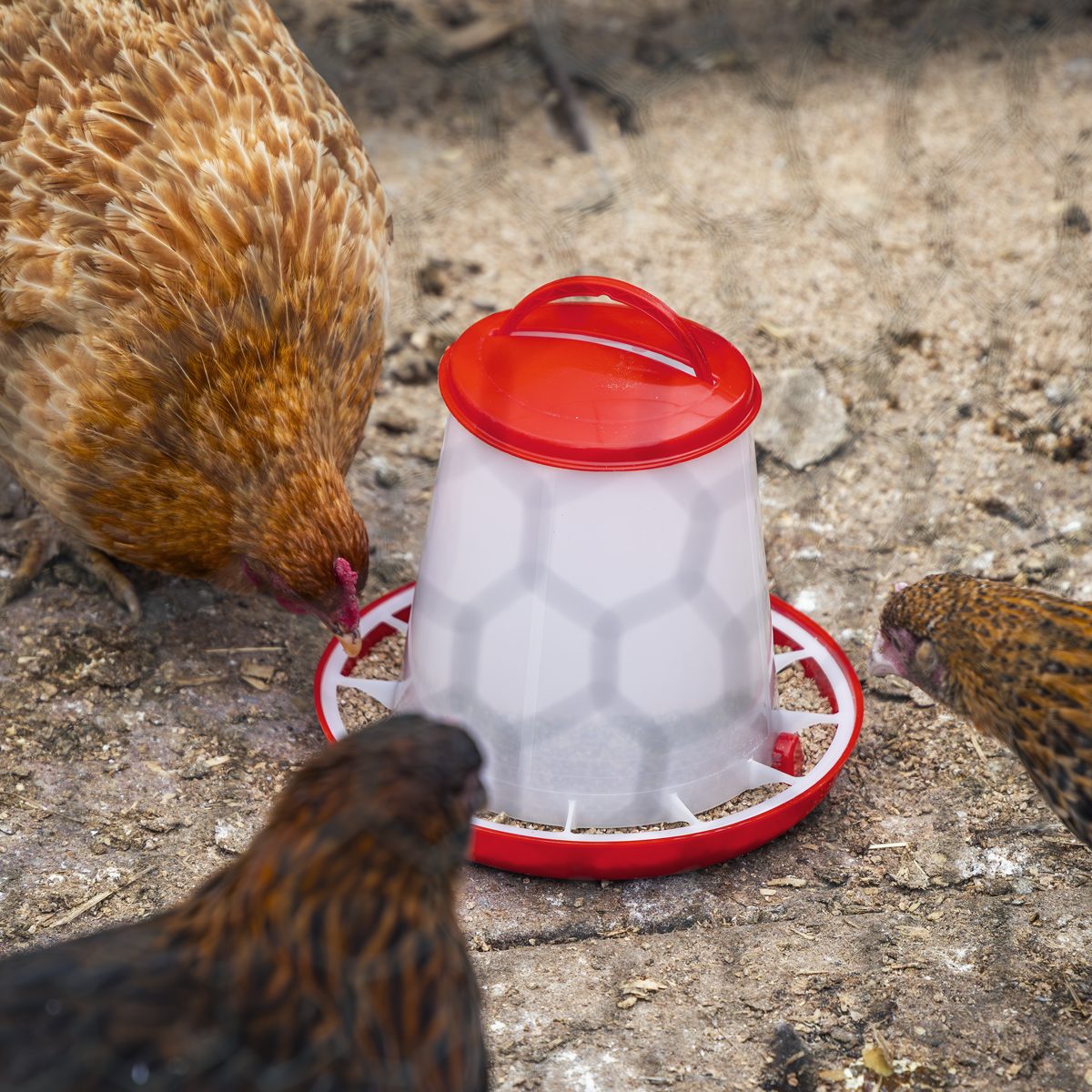 Sealey Poultry Feeder Model AFT02 1.5kg