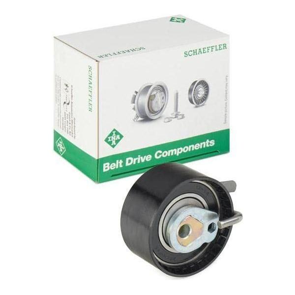 Ina Timing Belt Kit 530023910