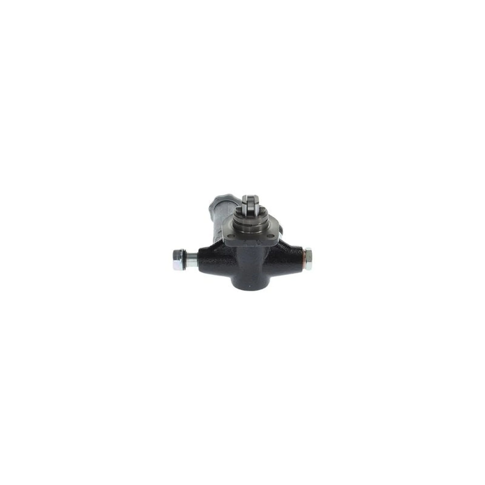 Bosch Fuel Pump Assembly H 105 207 114