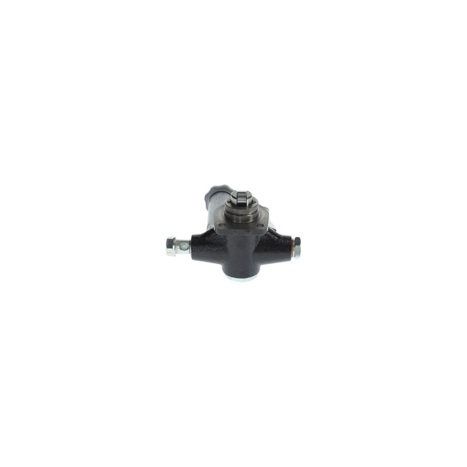 Bosch Fuel Pump Assembly H 105 210 326