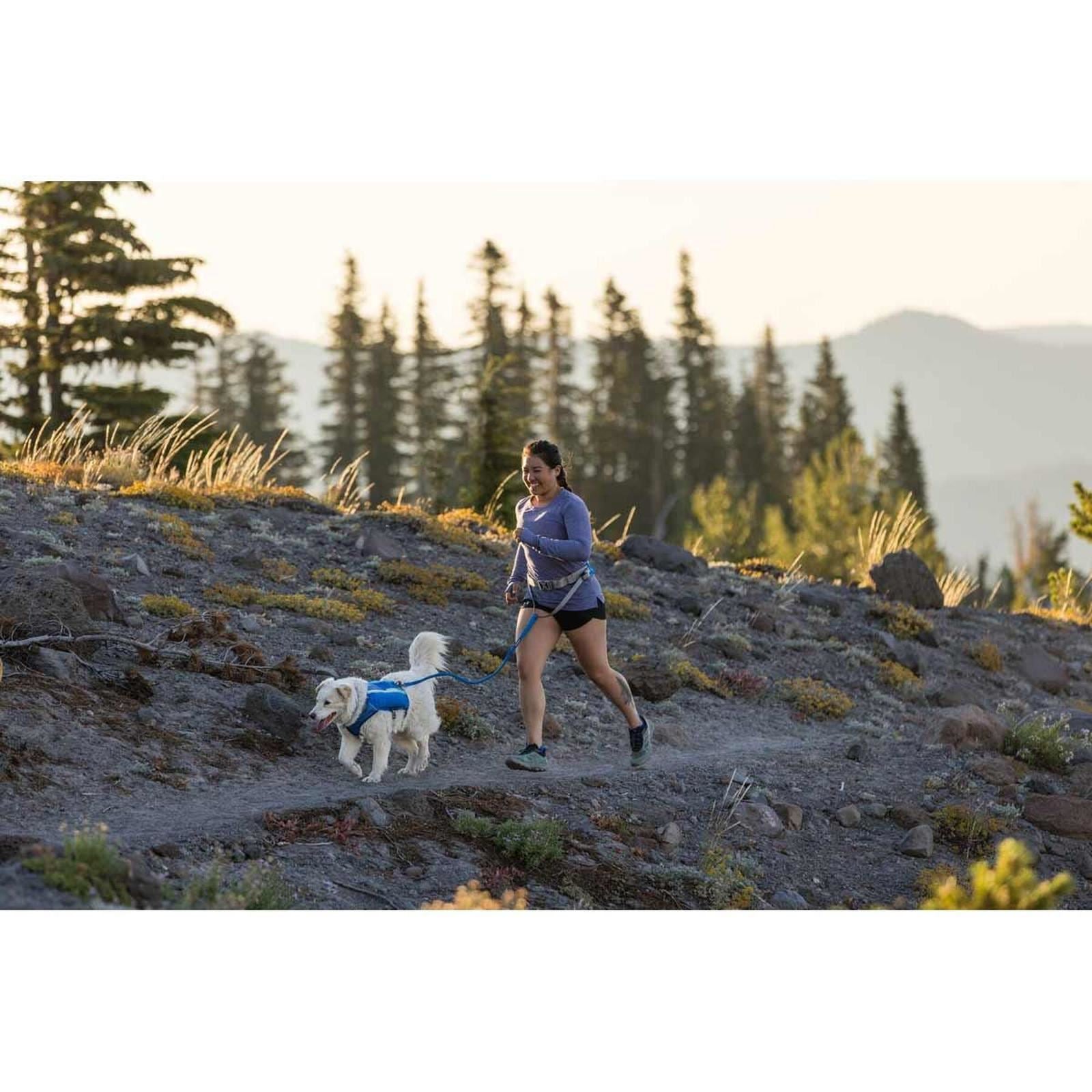 Ruffwear Trail Runner Belt in Blue Pool (Small / Medium)