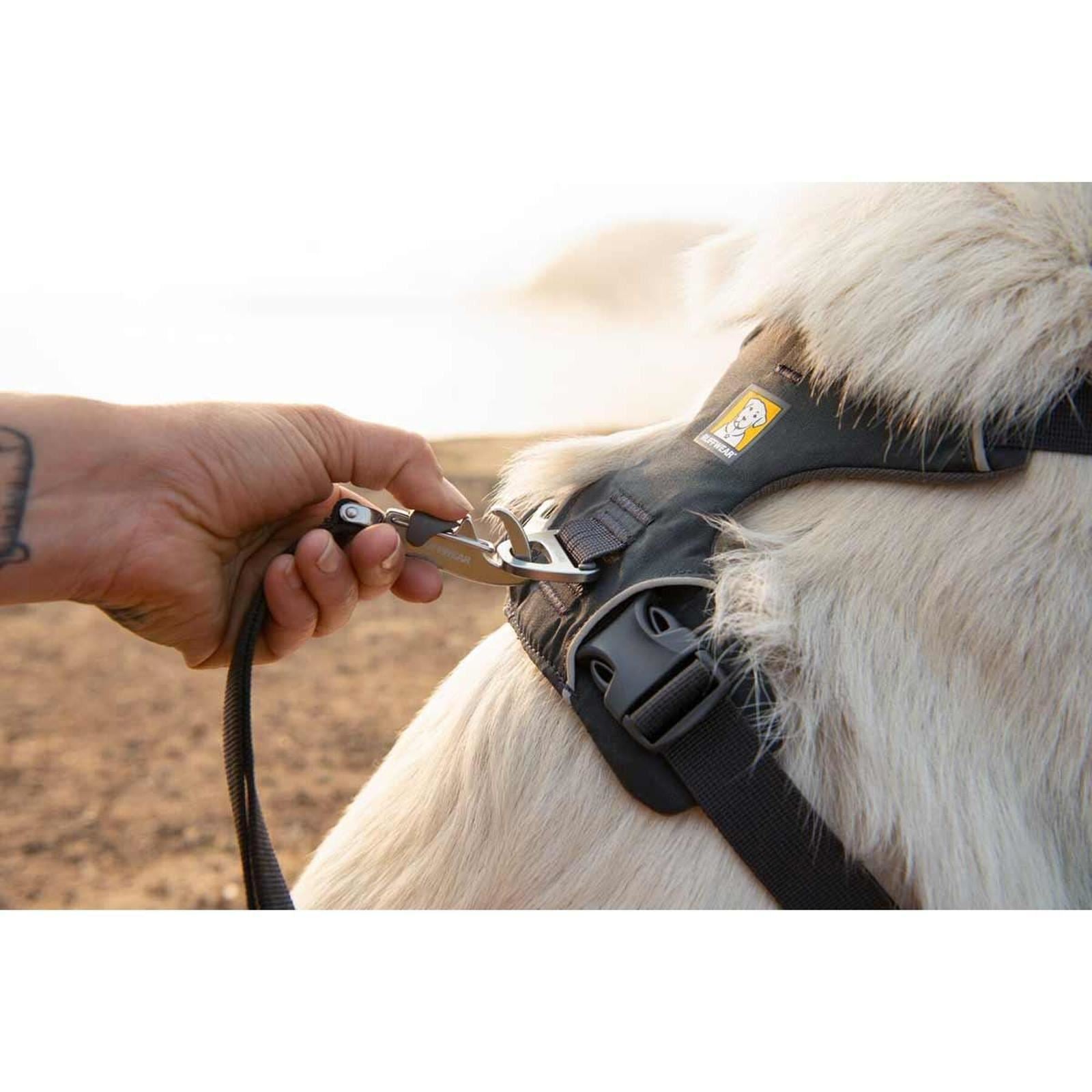 Ruffwear Front Range Dog Harness in Basalt Grey (Medium)