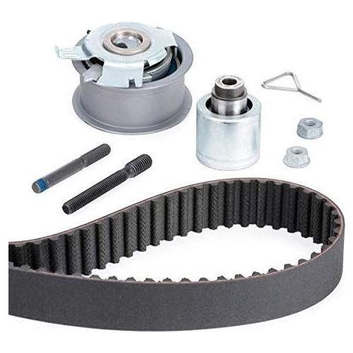 Ina Timing Belt Kit 530020110