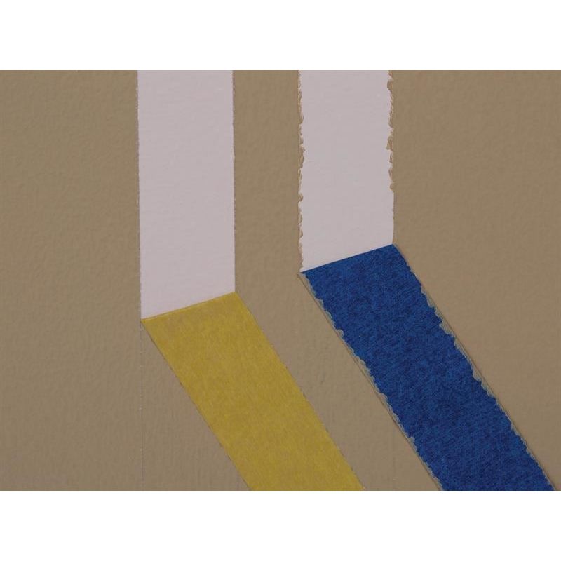 Shurtape FrogTape® Delicate Surface Masking Tape 24mm x 41.1m