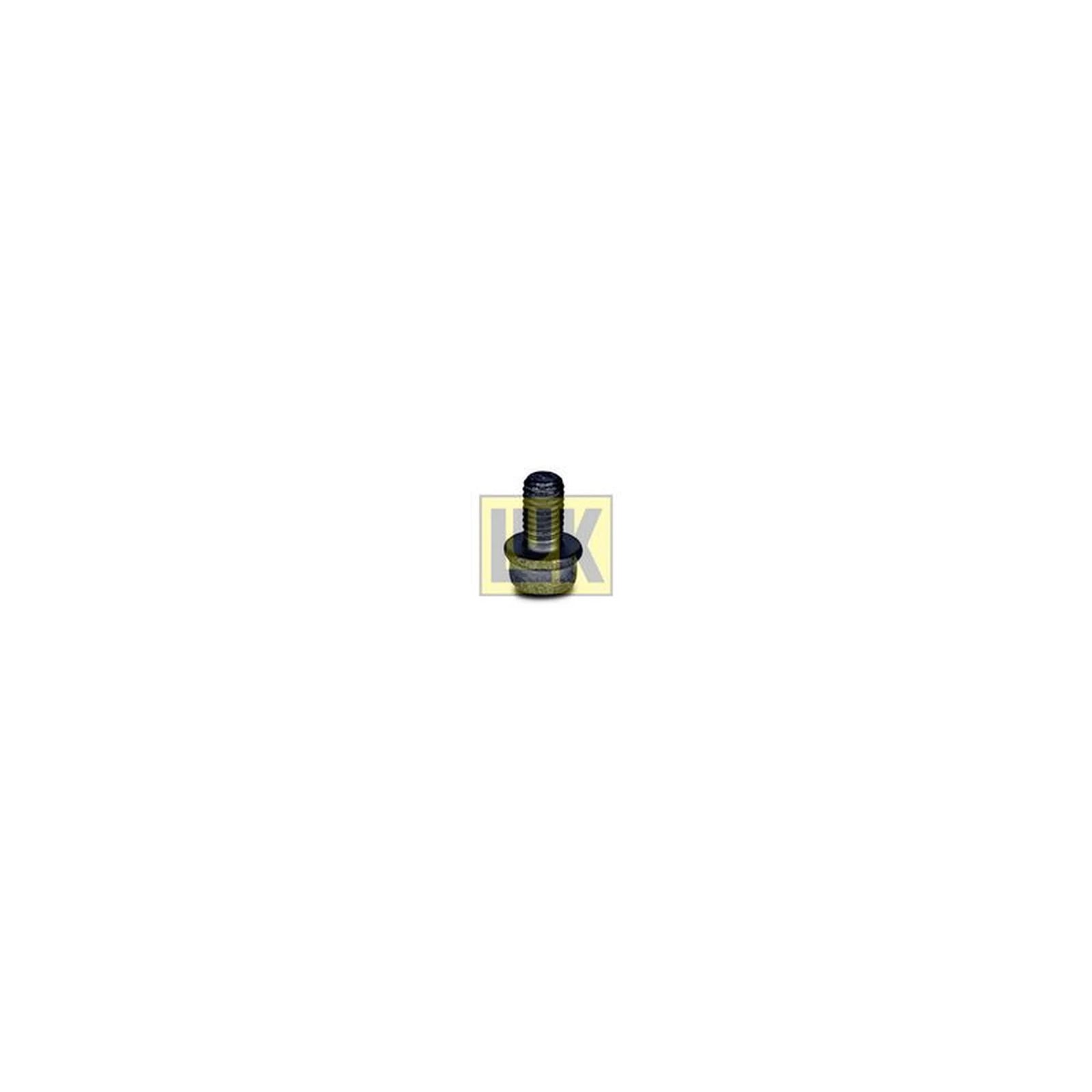 LuK Dmf Bolt Fitting Kit 411011310