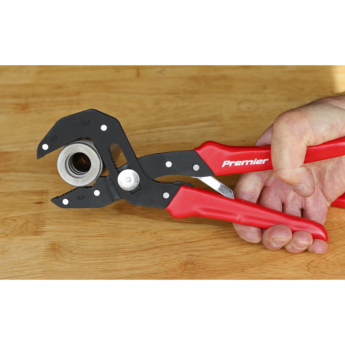 Sealey Pliers Multi-Grip Self-Adjusting 250mm