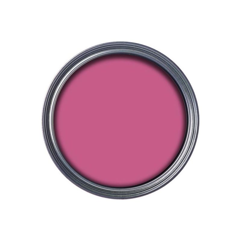 Ronseal Garden Paint Pink Jasmine 2.5 litre