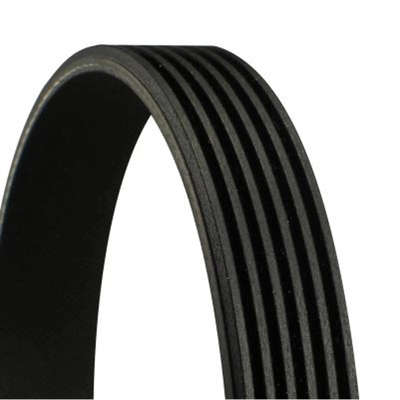 Continental CTAM Multi V-Ribbed Drive Belt 6PK906