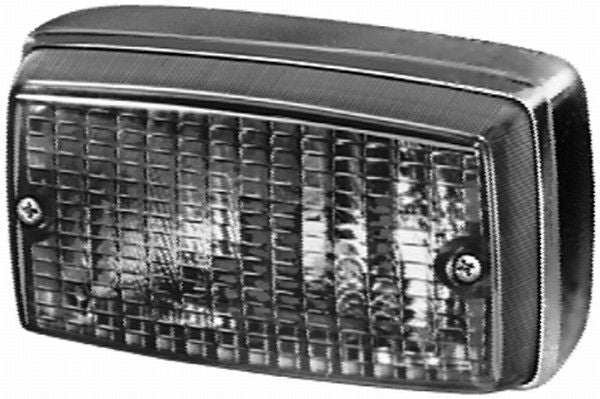 Hella Rear Fog Light Lamp Unit 2NE 002 589-047