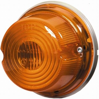 Hella Direction Indicator Light 2BA 001 259-618