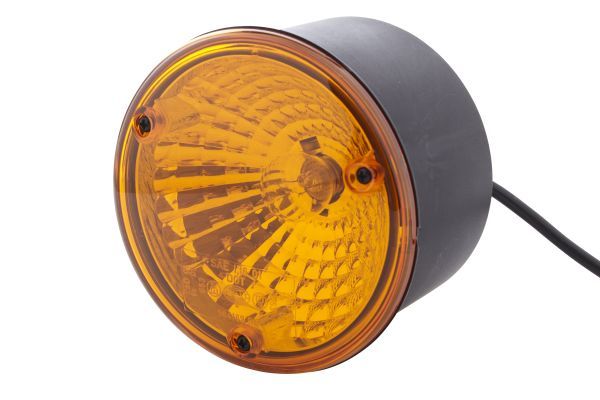 Hella Direction Indicator Light 2BA 344 169-007