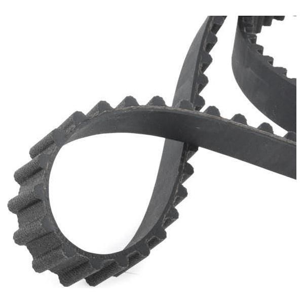 Ina Timing Belt Kit 530001210