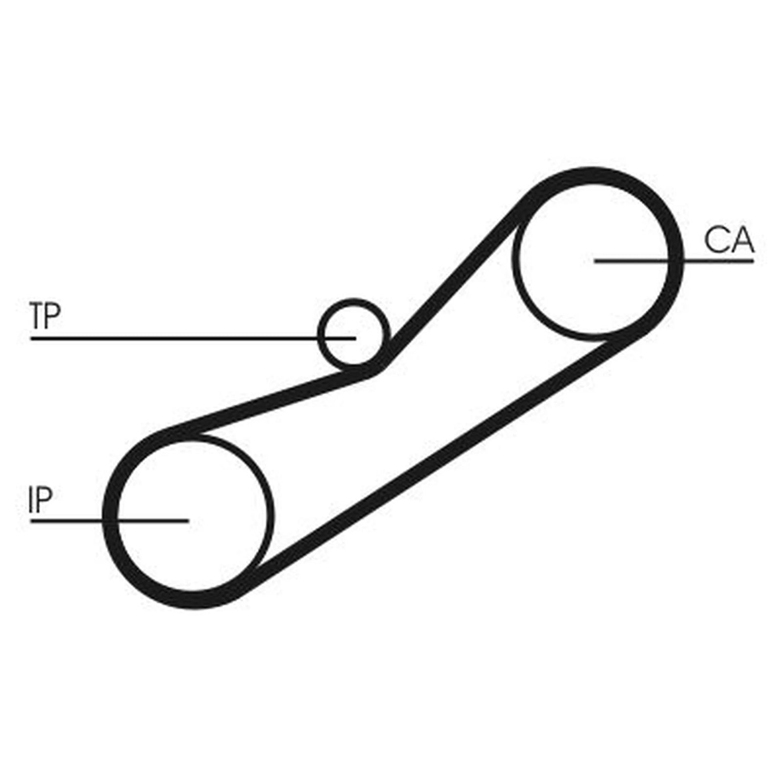 Continental CTAM Timing Belt Cambelt 78 Teeth CT950