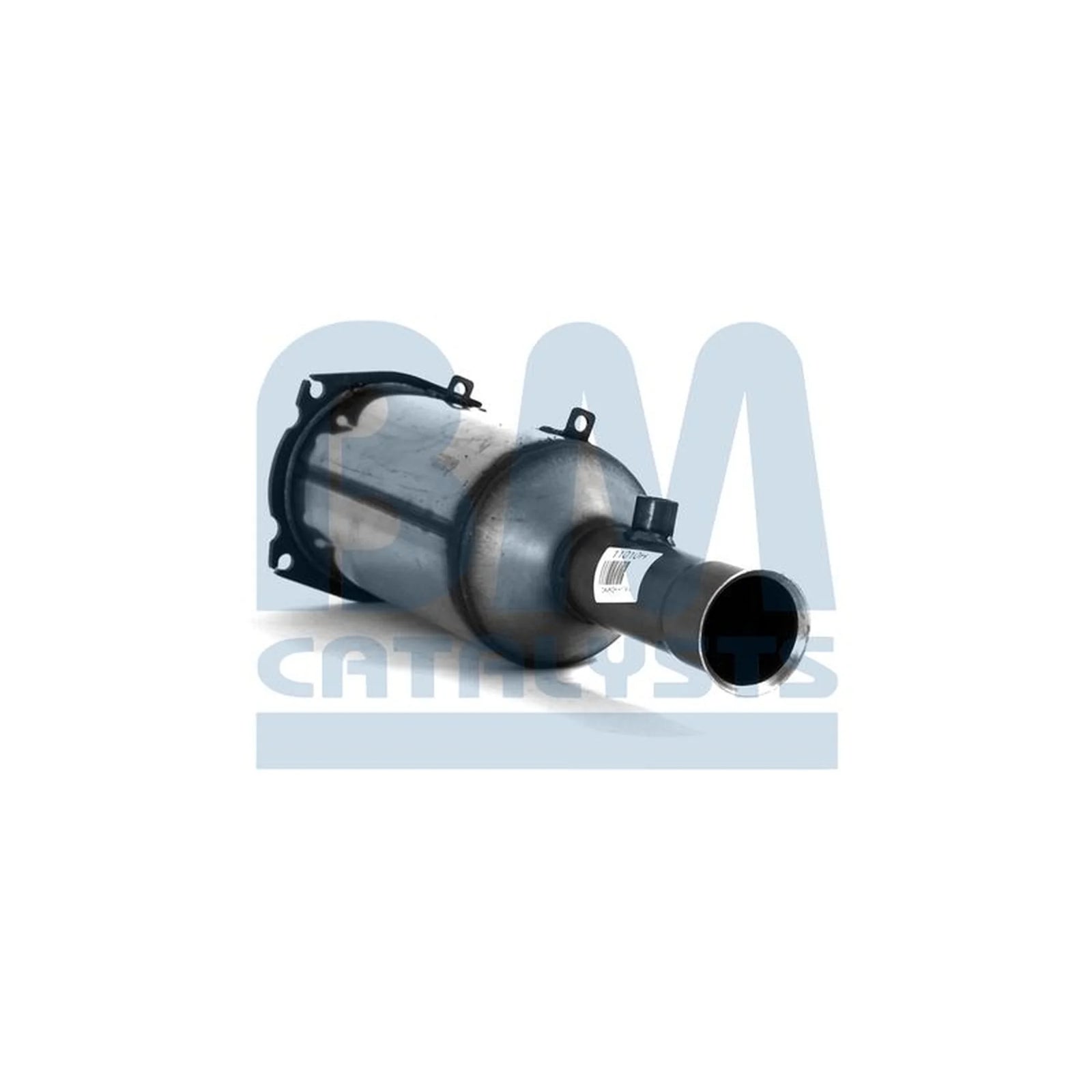 BM Catalysts Dpf BM11010