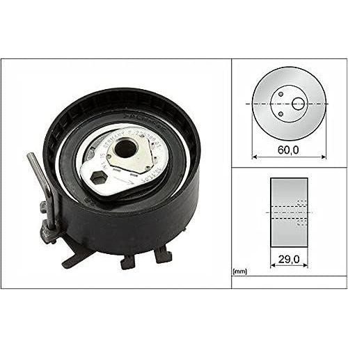 Ina Timing Belt Kit 530019510