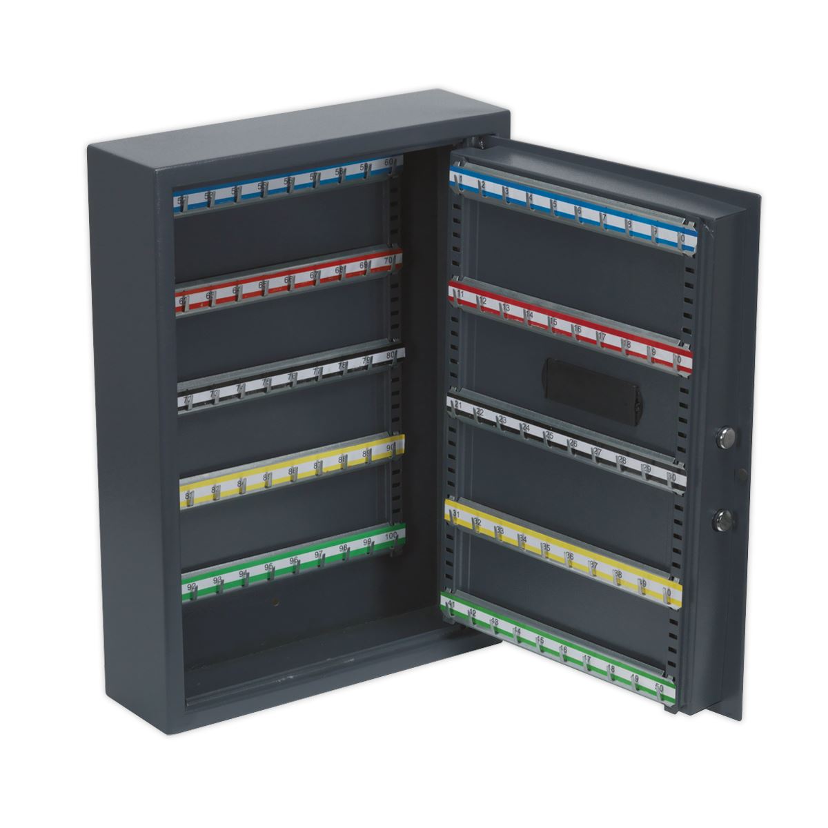 Electronic Key Cabinet 100 Key Capacity