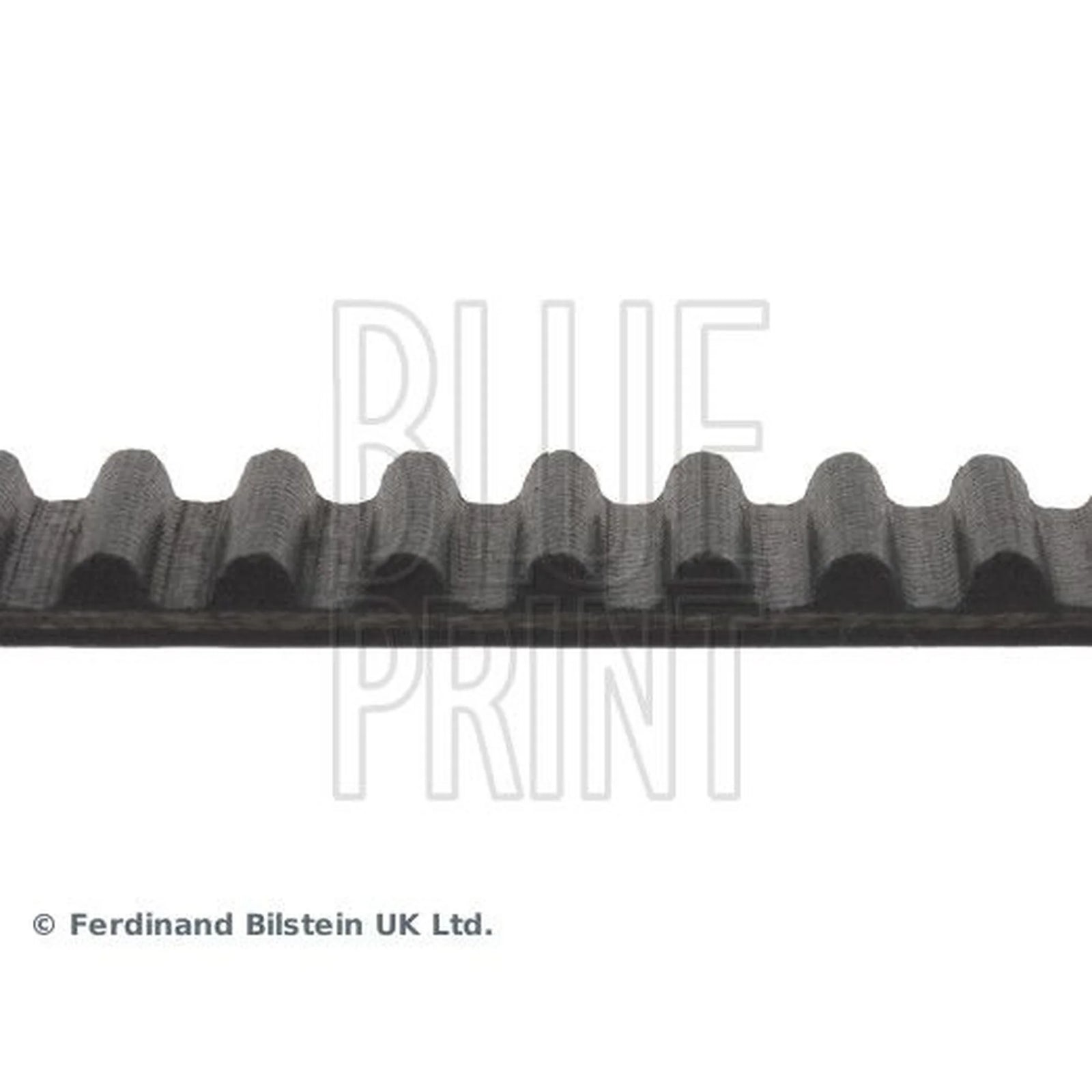 Blue Print Timing Belt Cambelt 259 Teeth ADC47548