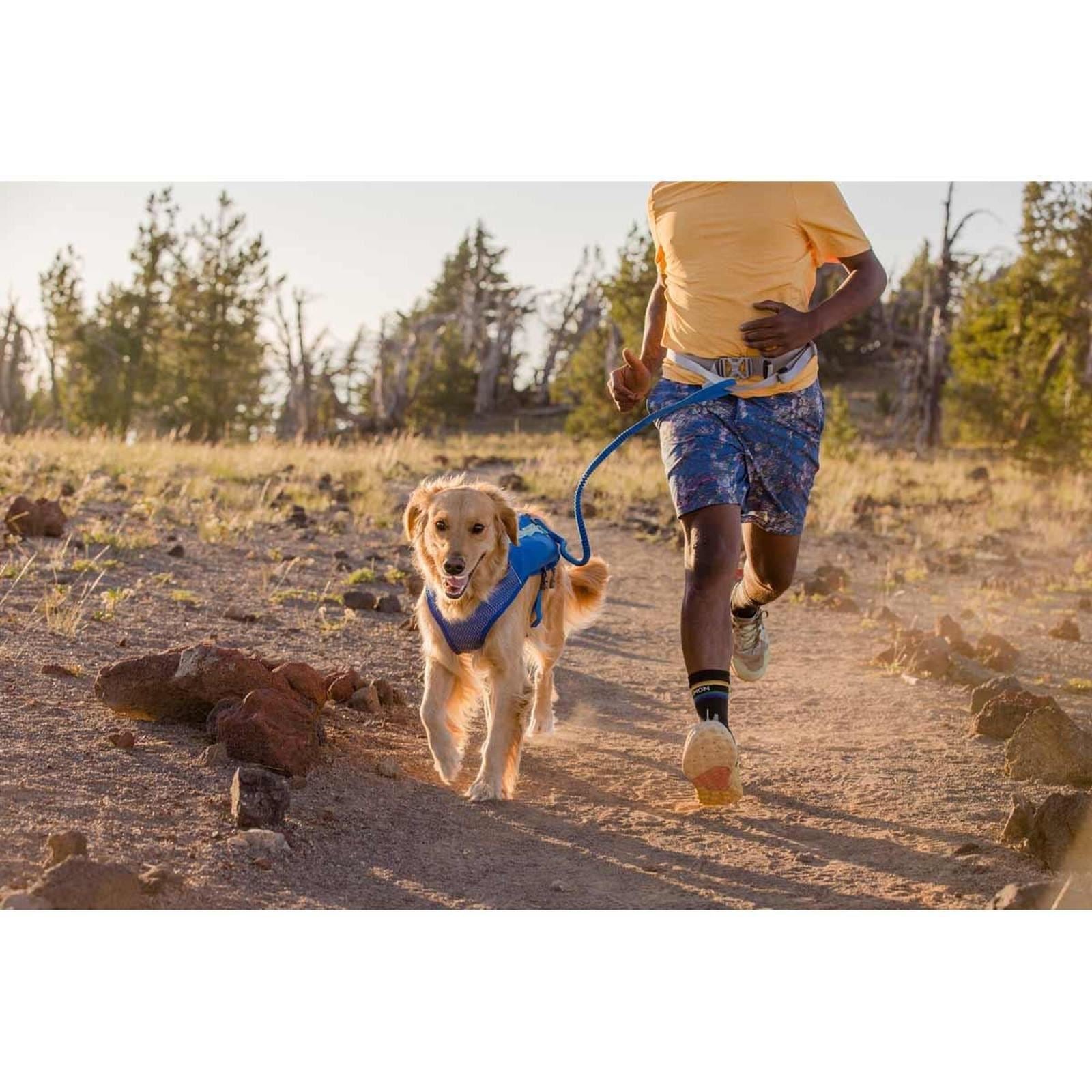 Ruffwear Trail Runner Belt in Blue Pool (Small / Medium)