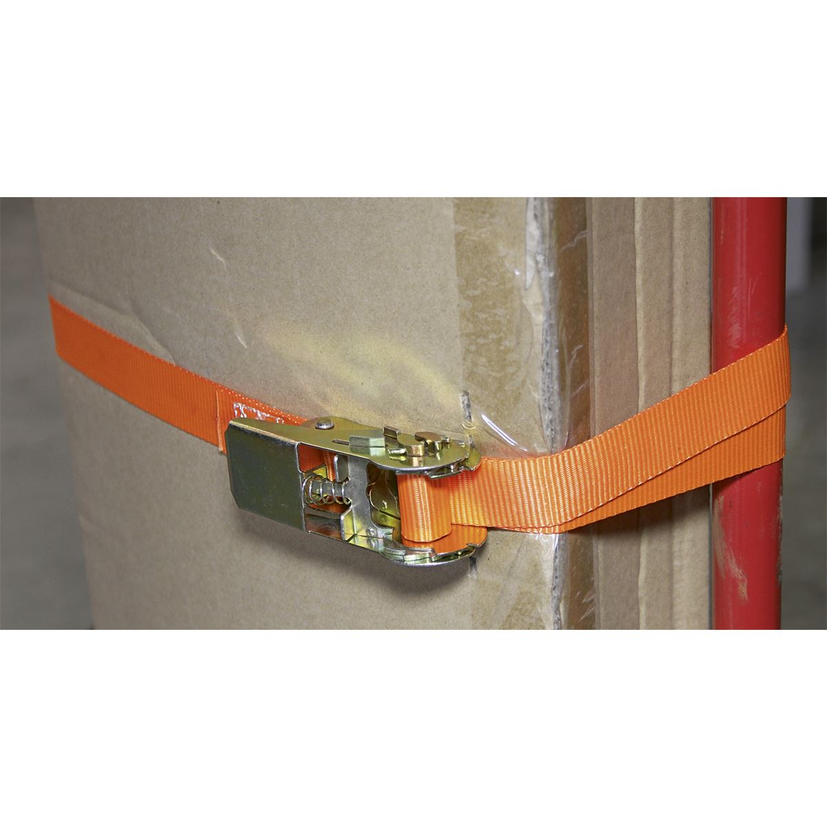 Sealey 2pc 500kg Self-Securing Ratchet Tie Down Cargo Lash 25mm x 4.5m